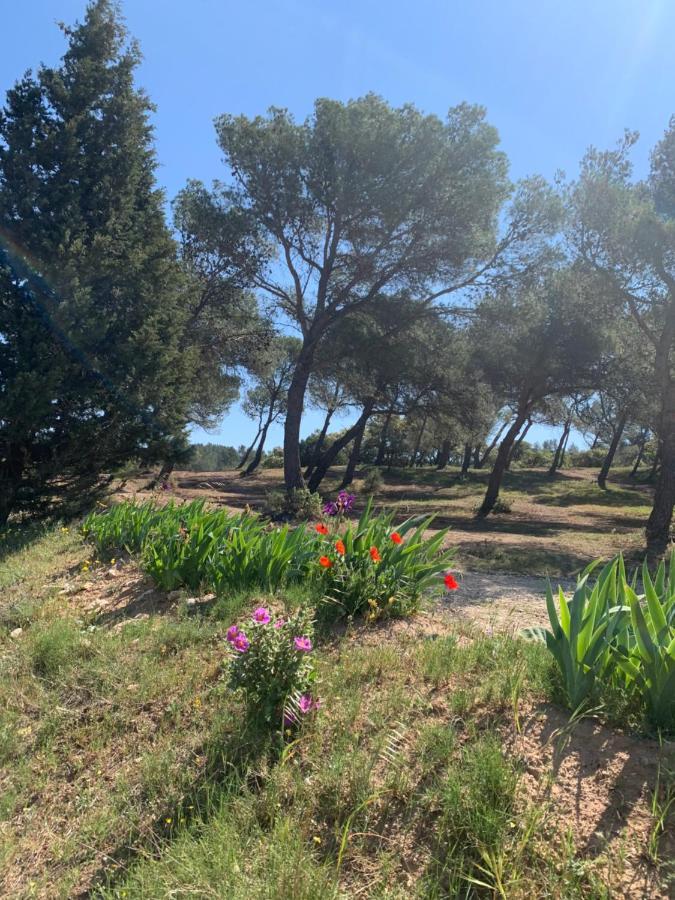 Bed and Breakfast Un Soir Sous Les Etoiles Chateauneuf-de-Gadagne Екстер'єр фото